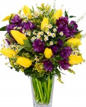 Желтые тюльпаны - доставка цветов в любую точку