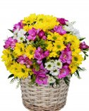Flower delivery - mixed flowers