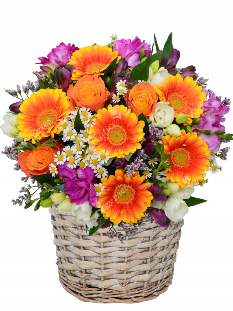 Krásny farebný kvetinový kôš - kytice - expres