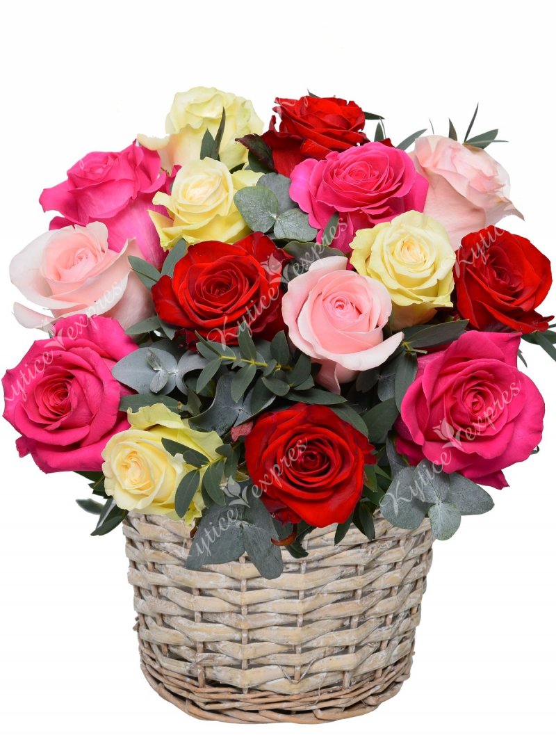Farebný kvetinový kôš - ruža