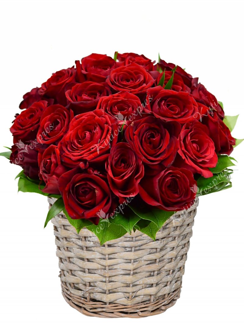 Roses in Flower Basket - Delivery of Flowers
