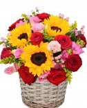Slunečnice a růže - krásný květinový koš