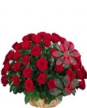 Цветочная корзина из красных роз