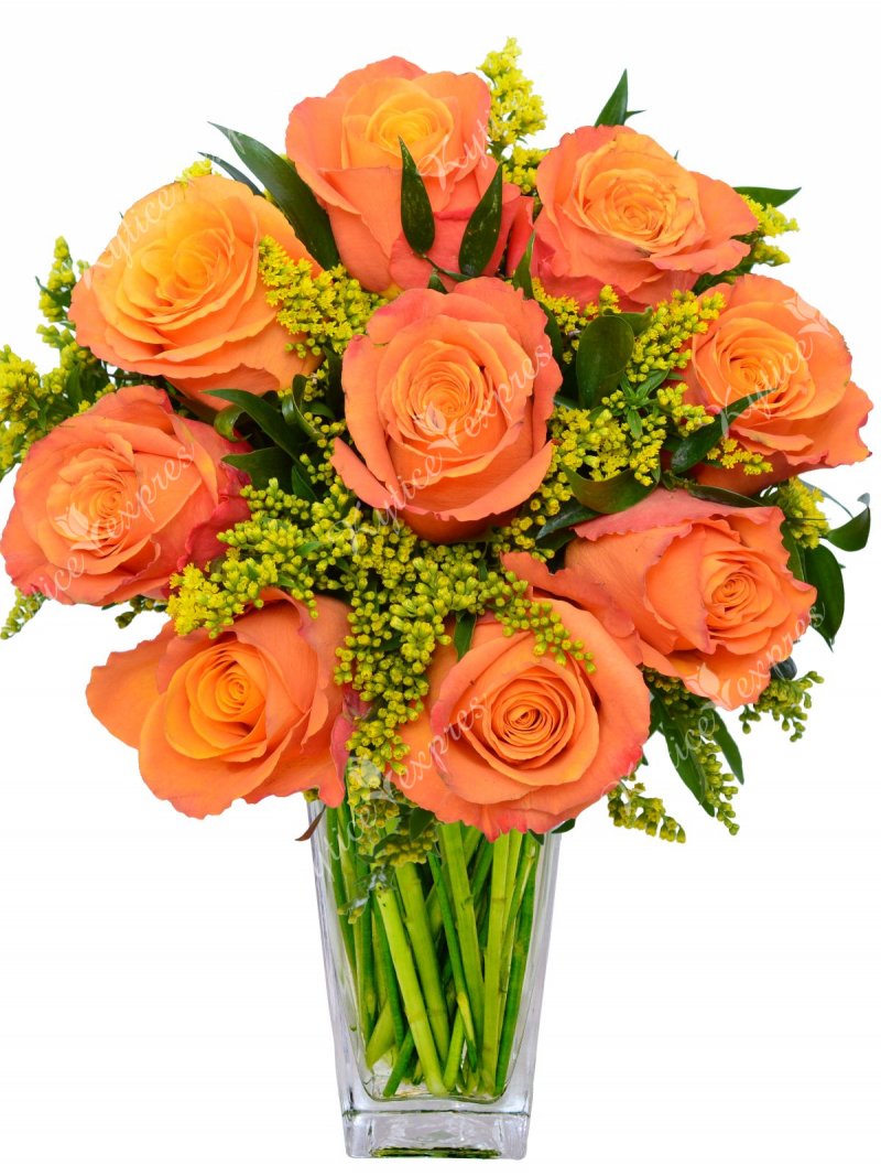 Oranžové růže : Kytice Expres
